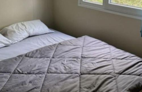 Saint-Vincent-de-Lamontjoie Other | Mobil home 6 pers avec terrasse - API-1-52-897