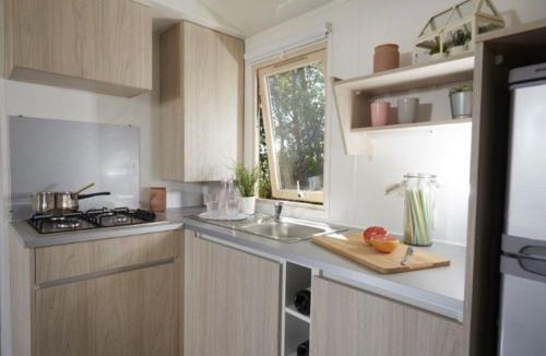 La Chaize-Giraud Other | Mobil home avec terrasse pour 6 personnes - API-1-52-389