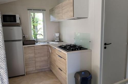 Chaille-les-Marais Other | Mobil-home, animaux OK - 4 pers. - API-1-52-2565