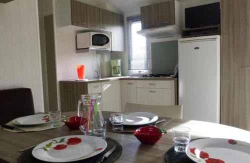 Notre-Dame-de-Monts Other | Mobil home avec terrasse pour 6 personnes - API-1-52-615