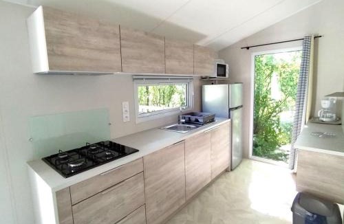 Chaille-les-Marais Other | Mobil home avec animaux - 4 pers. - API-1-52-2245