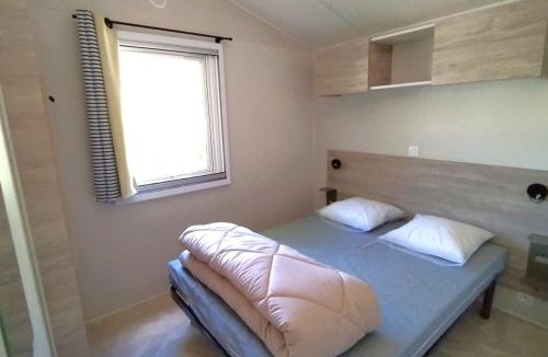 Chaille-les-Marais Other | Mobil home avec animaux - 4 pers. - API-1-52-2245