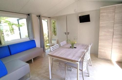 Chaille-les-Marais Other | Mobil home avec animaux - 4 pers. - API-1-52-2245