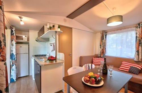 Albi Other | Mobil-home avec terrasse - 6 pers. - API-1-52-2111