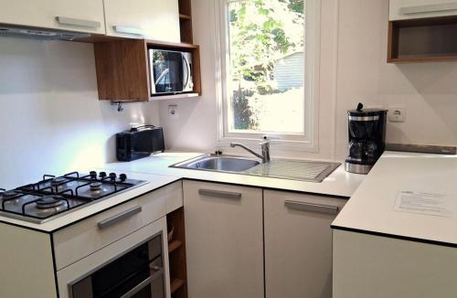 Belmont-sur-Rance Other | Mobil home climatisé - 4 pers. - API-1-52-2359