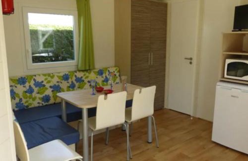 Notre-Dame-de-Monts Other | Mobil home confortable avec terrasse à Notre-Dame-de-Monts - API-1-52-516