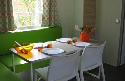 Chaille-les-Marais Other | Mobil-home confortable avec terrasse pour 6 personnes - API-1-52-523