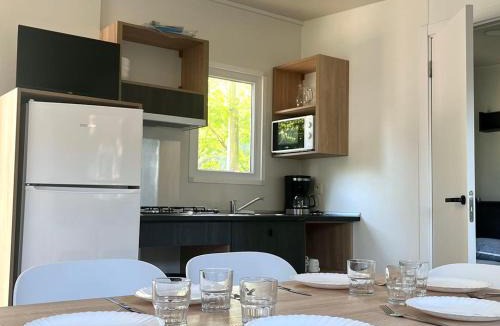 Angicourt Other | Mobil home confortable avec terrasse pour 6 pers. - API-1-52-1720