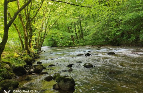 Latouille-Lentillac Ski Chalet | mobil home de campagne
