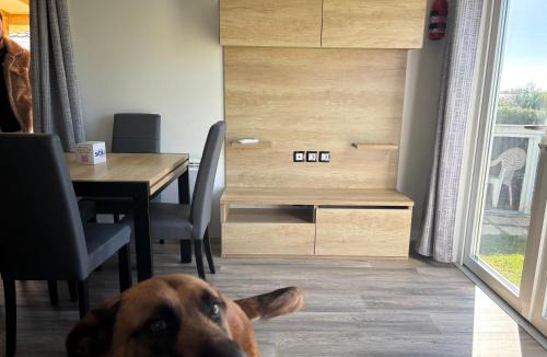 Lattes Resort | Mobil-home Evasion et confort 5