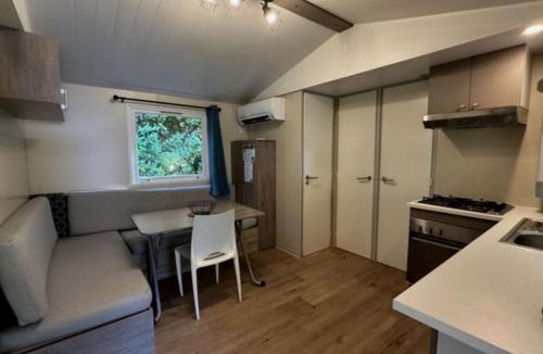 Saint-Vincent-de-Lamontjoie Other | Mobil-home familial 8 pers avec terrasse - API-1-52-900