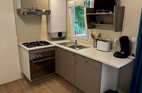 Saint-Vincent-de-Lamontjoie Other | Mobil-home familial 8 pers avec terrasse - API-1-52-900