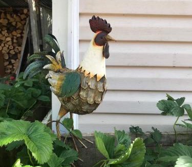 Saint-Martin-de-la-Mer Apartment | Mobil Home à la ferme