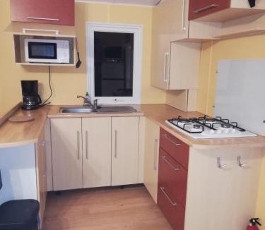 Vaour Apartment | Mobil home la Salamandre
