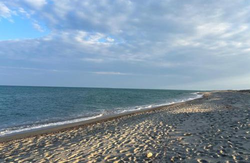 Torreilles-Plage Ski Chalet | Mobil-home les pieds dans l'eau camping LES DUNES 5"'"