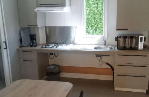 Marcilly-sur-Vienne Other | Mobil-home PMR 28m², 4 pers, Terrasse - API-1-52-1728