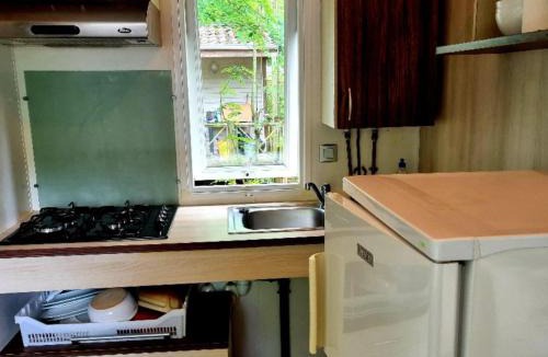 Nibelle Other | Mobil-home PMR avec Terrasse - 4 Personnes - API-1-52-1561