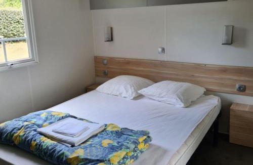 Espira-de-Conflent Other | Mobil-home PMR avec Terrasse pour 4 Pers. - API-1-52-1668