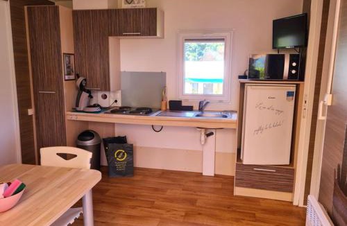 Les Grandes-Ventes Other | Mobil home PMR avec terrasse, 2 chambres pour 3 pers. - API-1-52-548