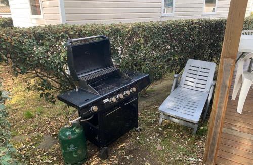 Ronce-les-Bains Other | Mobil Home Ronce Les Bains