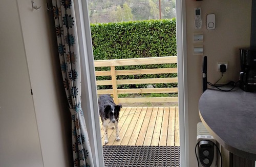 Gere-Belesten House | Mobile home 5 persons pets welcome Camping Monplaisir