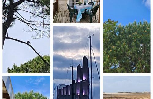 Les Mathes Resort | Mobile-home Bonne -Anse Plage