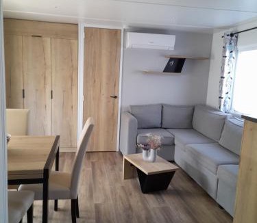 Gastes Other | Mobilhome 422 3ch/1 sdb camping 4* La Réserve SIBLU Gastes