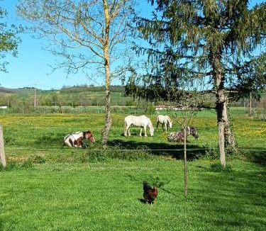 Lombez House | Mobilhome cosy au calme de la campagne