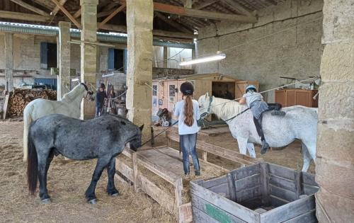 Chalabre House | Mobilhome Ferme équestre La Mouillère