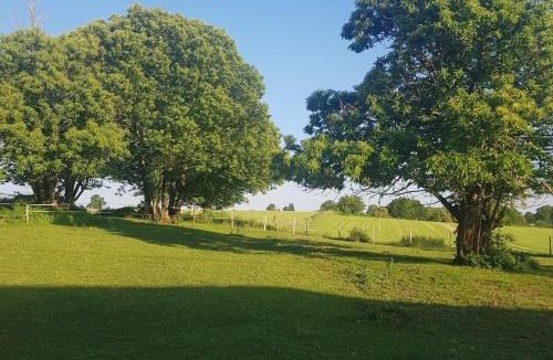 Saint-Pardoux-Corbier House | Mobilhome with terrace