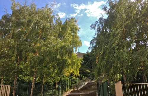 Butte-aux-Cailles Apartment | Mobility lease in the heart of "La Butte-aux-Cailles"