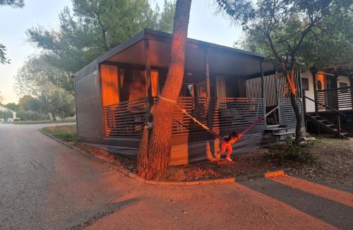 Vodice Apartment | Mobilna kućica Tara