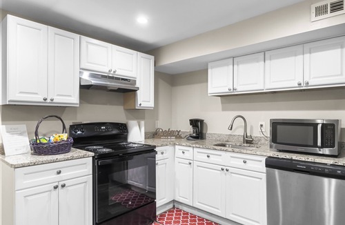 Silver Spring Apartment | Modern 1-BR Apartment