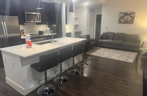 Texas Medical Center Apartment | Modern 2 Bed, 2 Bath Near Texas Medical Center