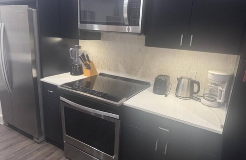 Texas Medical Center Apartment | Modern 2 Bed, 2 Bath Near Texas Medical Center