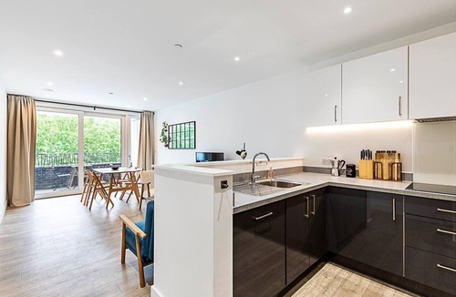 Lea Bridge Apartment | Modern 2-Bed Flat with Terraces in Leyton