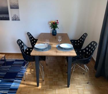 Glattbrugg Apartment | Modern 2 bedroom apartment close to Zurich airport