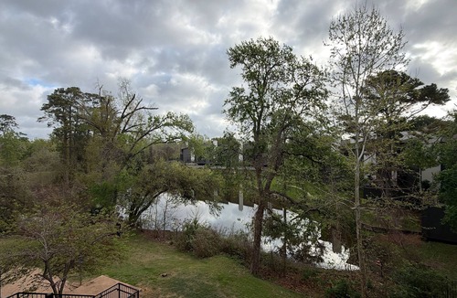 Woodlake - Briar Meadow Apartment | Modern 2BR Bayou Retreat . Pool . Gym . Balcony