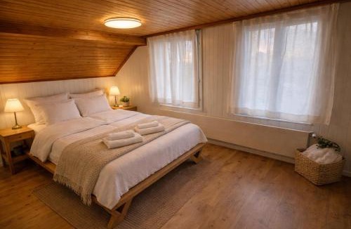 Unterseen Apartment | Modern 2BR Loft in Historic Swiss Chalet 200m from Interlaken West
