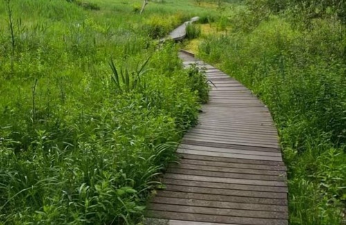 Oxford House | Modern 3-Bed in Headington