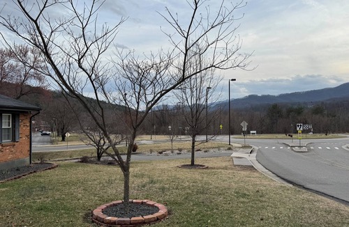 Cave Spring House | Modern 3-bedroom house with park access in Cave Spring