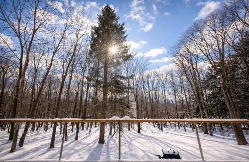 Town of Denning Ski Chalet | Modern A-Frame Catskills Hot Tub & Fireplace
