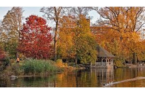 East Flatbush Apartment | Modern and Cozy Suite 142