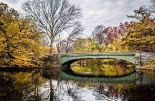 East Flatbush Apartment | Modern and Cozy Suite 142