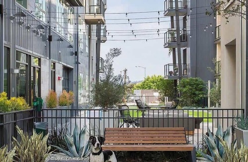 Glendale Apartment | Modern and Lavish apartment