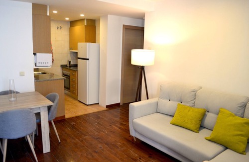 Esterri D'Aneu Apartment | Modern apartment with fireplace