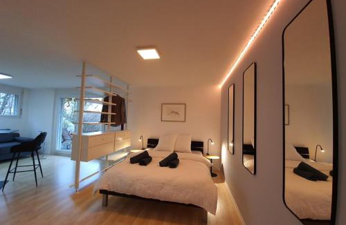 Busserach Apartment | Modern apartment for vacation and business travelers
