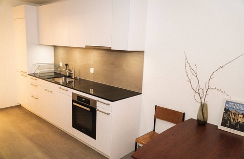 Iselin Apartment | Modern apartment in Basel with free BaselCard