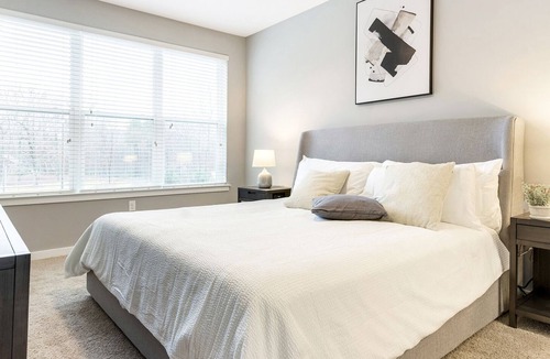 Chapel Hill Apartment | Modern Apartment in Prime Location (ID8112X15)