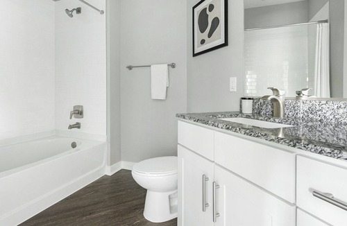 Chapel Hill Apartment | Modern Apartment in Prime Location (ID9029X82)